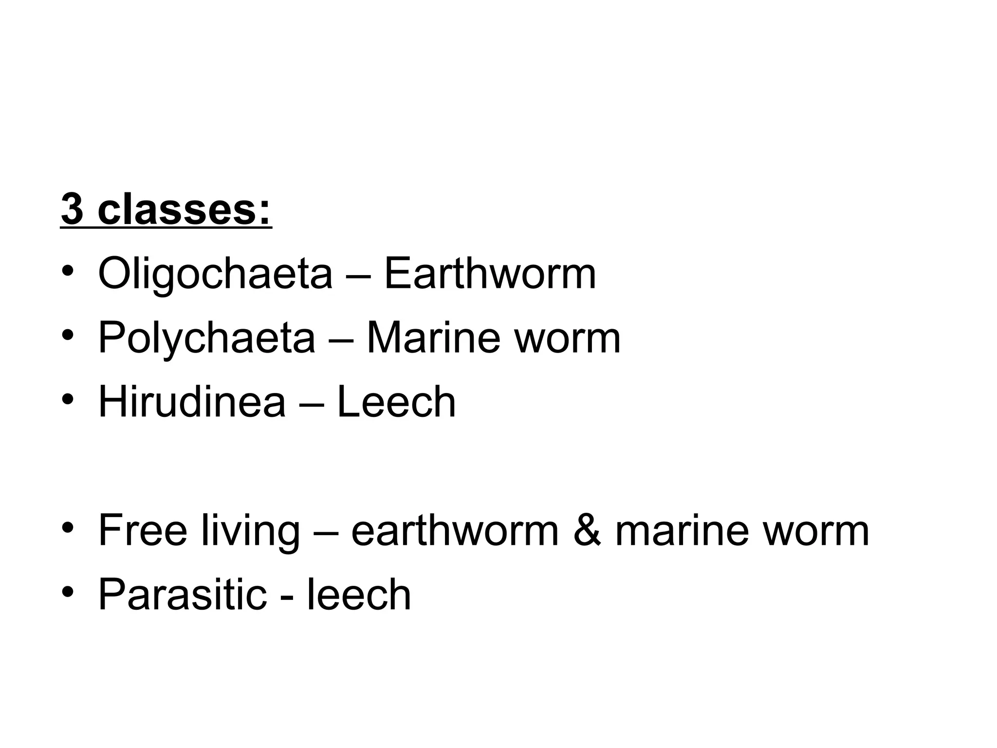 3 classes:
• Oligochaeta – Earthworm
• Polychaeta – Marine worm
• Hirudinea – Leech
• Free living – earthworm & marine worm
• Parasitic - leech
