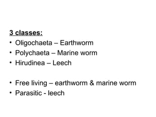 3 classes:
• Oligochaeta – Earthworm
• Polychaeta – Marine worm
• Hirudinea – Leech
• Free living – earthworm & marine worm
• Parasitic - leech
 