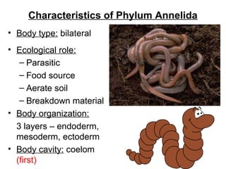 Phylum annelida 2016