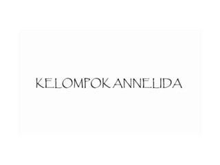 Phylum Annelida