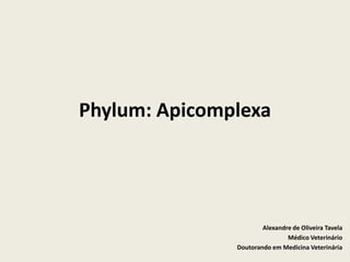 Phylum: Apicomplexa




                       Alexandre de Oliveira Tavela
                               Médico Veterinário
               Doutorando em Medicina Veterinária
 