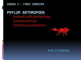 COURSE I – FIRST SEMESTER


PHYLUM ARTHROPODA
    Animals with jointed legs
    Compound eyes
    Chitinous exoskeleton




                            Prof. S D Rathod
 
