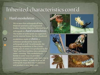12 
3. Hard exoskeleton 
• We've seen that arthropods all have 
bilateral symmetry and segmented 
bodies. Another character inherited by all 
arthropods is a hard exoskeleton. 
• The bodies of arthropods are supported, 
not by internal bones, but by a hardened 
exoskeleton made of chitin, a 
substance produced by many non-arthropods 
as well. In arthropods, the 
nonliving exoskeleton is like a form-fitting 
suit of armor. It is produced by the 
"skin" and then hardens into a protective 
outer- covering. This exoskeleton is 
handy in some ways (it provides 
protection and prevents water loss), but is 
limiting in others. In order to grow, all 
arthropods must shed the exoskeleton 
and produce a new, larger one. 
 
