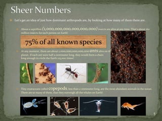  Let's get an idea of just how dominant arthropods are, by looking at how many of them there are. 
 About a septillion (1,000,000,000,000,000,000) insects are alive at any time. That's about 160 
million insects for each person on Earth! 
 At any moment, there are about 1,000,000,000,000,000 ants alive on the 
planet. If each ant were half a centimeter long, they would form a chain 
long enough to circle the Earth 125,000 times! 
 Tiny crustaceans called copepods, less than a centimeter long, are the most abundant animals in the ocean. 
There are so many of them, that they outweigh all the whales on Earth! 
5 
75% of all known species 
 