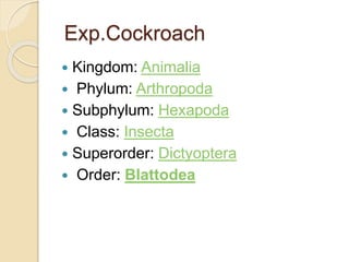 Phylum Arthropoda M.Ishaq ICP | PPTX
