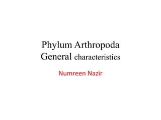 Phylum Arthropoda
General characteristics
Numreen Nazir
 