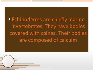 • Echinoderms are chiefly marine
invertebrates. They have bodies
covered with spines. Their bodies
are composed of calcuim

 