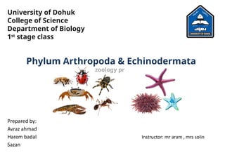 Phylum Arthropoda & Echinodermata 0.2.pptx