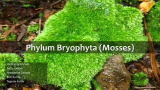 Stephanie Korvah
Betty Lablah
Antoinette Lincoln
Bob Bumie
Tegeste Kollie
Phylum Bryophyta (Mosses)
 