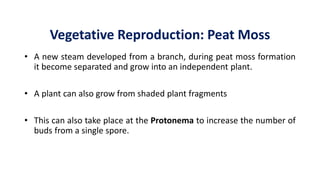 Vegetative Reproduction: Peat Moss
• A new steam developed from a branch, during peat moss formation
it become separated a...