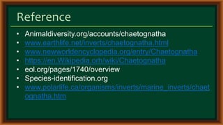 Reference
• Animaldiversity.org/accounts/chaetognatha
• www.earthlife.net/inverts/chaetognatha.html
• www.newworldencyclopedia.org/entry/Chaetognatha
• https://en.Wikipedia.orh/wiki/Chaetognatha
• eol.org/pages/1740/overview
• Species-identification.org
• www.polarlife.ca/organisms/inverts/marine_inverts/chaet
ognatha.htm
 