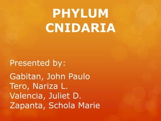 PHYLUM
CNIDARIA
Presented by:
Gabitan, John Paulo
Tero, Nariza L.
Valencia, Juliet D.
Zapanta, Schola Marie
 