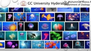 GC University Hyderabad
Dr. Muhammad Moosa A
Department of Zoology
 