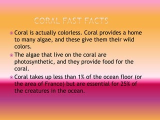  Coral is actually colorless. Coral provides a home
to many algae, and these give them their wild
colors.
 The algae that live on the coral are
photosynthetic, and they provide food for the
coral.
 Coral takes up less than 1% of the ocean floor (or
the area of France) but are essential for 25% of
the creatures in the ocean.
 