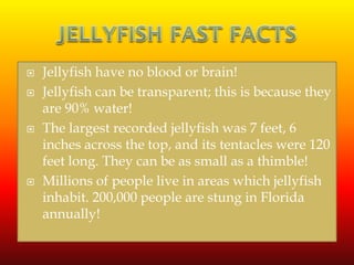  Jellyfish have no blood or brain!
 Jellyfish can be transparent; this is because they
are 90% water!
 The largest recorded jellyfish was 7 feet, 6
inches across the top, and its tentacles were 120
feet long. They can be as small as a thimble!
 Millions of people live in areas which jellyfish
inhabit. 200,000 people are stung in Florida
annually!
 