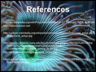 References http://en.wikipedia.org/wiki/Polyp/last modified on 27 February 2009, at 00:24 http://taxonomicon.net/   http://upload.wikimedia.org/wikipedia/commons/thumb/4/49/Coral_polyp.jpg/250px-Coral_polyp.jpg http://faculty.clintoncc.suny.edu/faculty/michael.gregory/files/bio%20102/bio%20102%20lectures/animal%20diversity/lower%20invertebrates/Obelia_colony_X_40.jpg http://actiniaria.com/img/anemonia_viridis.jpg http://upload.wikimedia.org/wikipedia/commons/thumb/0/06/PillarCoral.jpg/200px-PillarCoral.jpg 