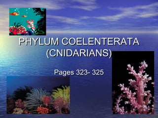 PHYLUM COELENTERATAPHYLUM COELENTERATA
(CNIDARIANS)(CNIDARIANS)
Pages 323- 325Pages 323- 325
 