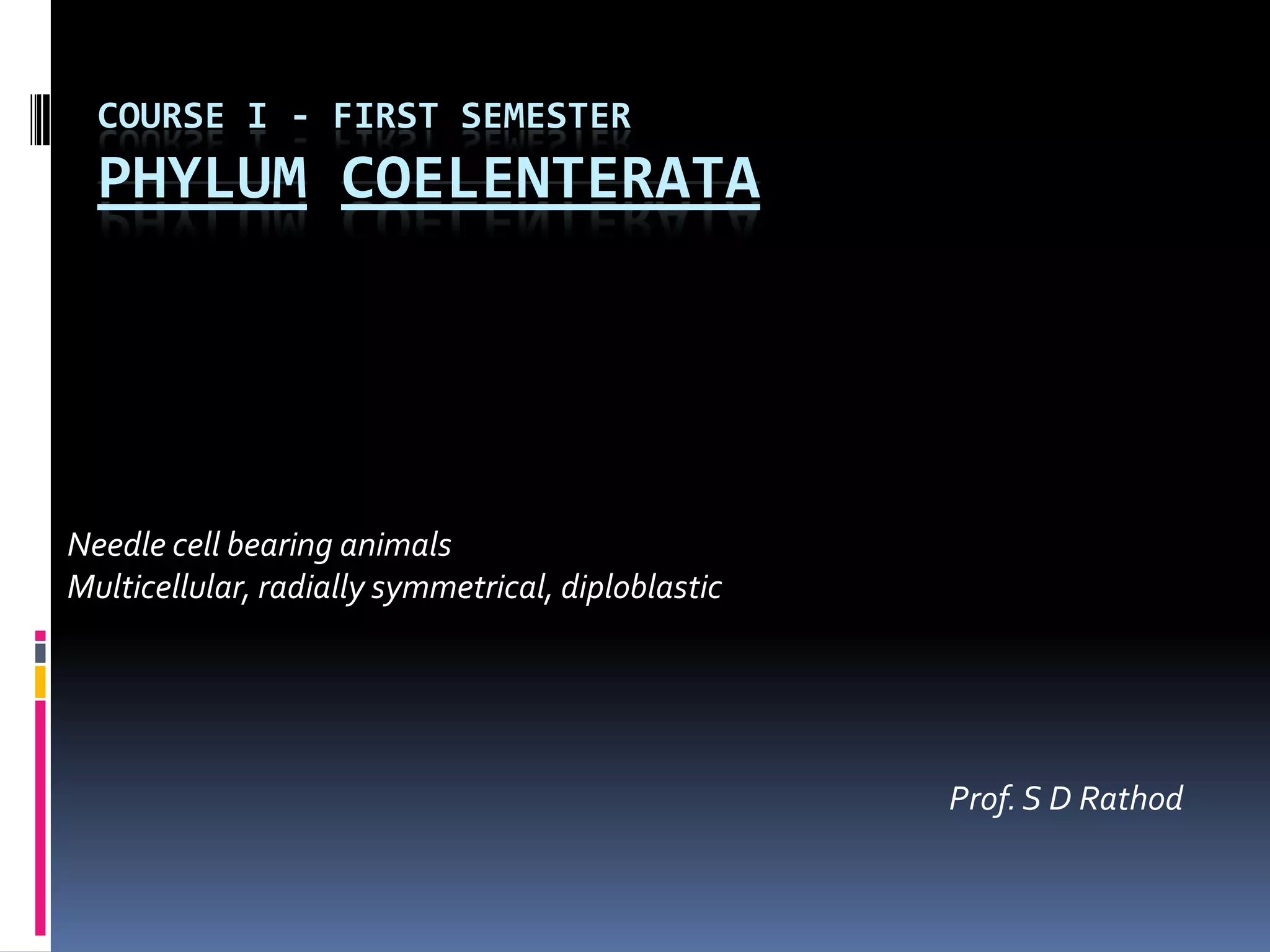 COURSE I - FIRST SEMESTER
PHYLUM COELENTERATA
Needle cell bearing animals
Multicellular, radially symmetrical, diploblastic
Prof. S D Rathod