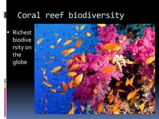 Coral reef biodiversity
Richest
biodive
rsity on
the
globe