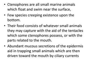 • Ctenophores are all small marine animals
which float and swim near the surface,
• Few species creeping existence upon the
bottom.
• Their food consists of whatever small animals
they may capture with the aid of the tentacles
which some ctenophores possess, or with the
parts related to the mouth.
• Abundant mucous secretions of the epidermis
aid in trapping small animals which are then
driven toward the mouth by ciliary currents
 