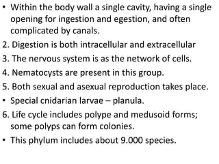 • Within the body wall a single cavity, having a single
opening for ingestion and egestion, and often
complicated by canals.
2. Digestion is both intracellular and extracellular
3. The nervous system is as the network of cells.
4. Nematocysts are present in this group.
5. Both sexual and asexual reproduction takes place.
• Special cnidarian larvae – planula.
6. Life cycle includes polype and medusoid forms;
some polyps can form colonies.
• This phylum includes about 9.000 species.
 