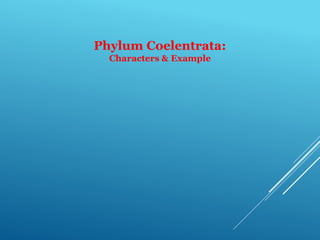 Phylum Coelentrata:
Characters & Example
 