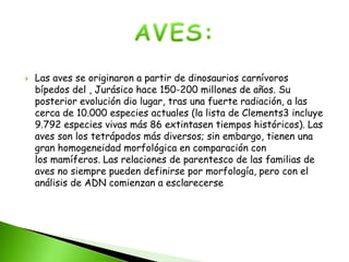  Las aves se originaron a partir de dinosaurios carnívoros
bípedos del , Jurásico hace 150-200 millones de años. Su
posterior evolución dio lugar, tras una fuerte radiación, a las
cerca de 10.000 especies actuales (la lista de Clements3 incluye
9.792 especies vivas más 86 extintasen tiempos históricos). Las
aves son los tetrápodos más diversos; sin embargo, tienen una
gran homogeneidad morfológica en comparación con
los mamíferos. Las relaciones de parentesco de las familias de
aves no siempre pueden definirse por morfología, pero con el
análisis de ADN comienzan a esclarecerse
 