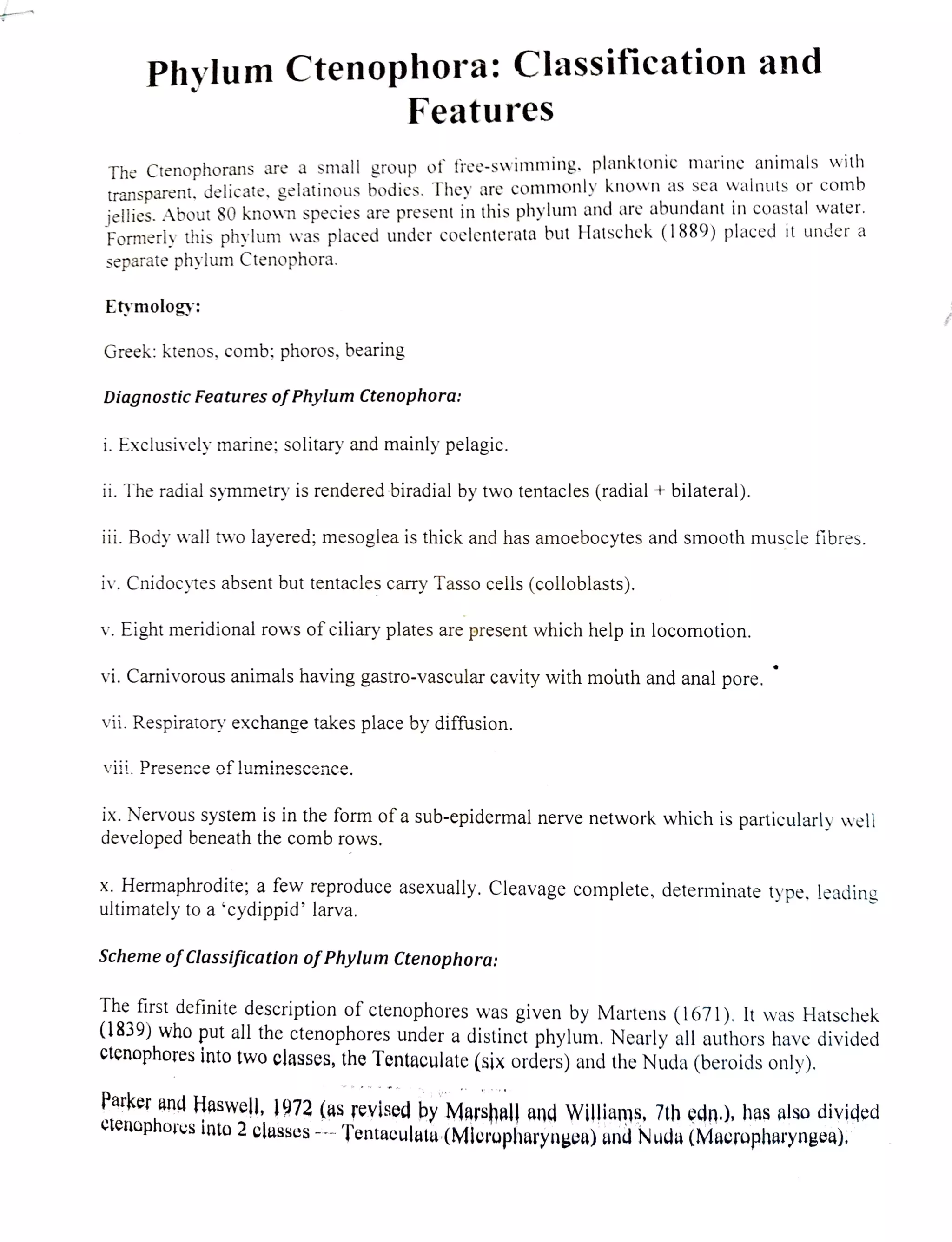 Phylum Ctenophora Classification.pdf