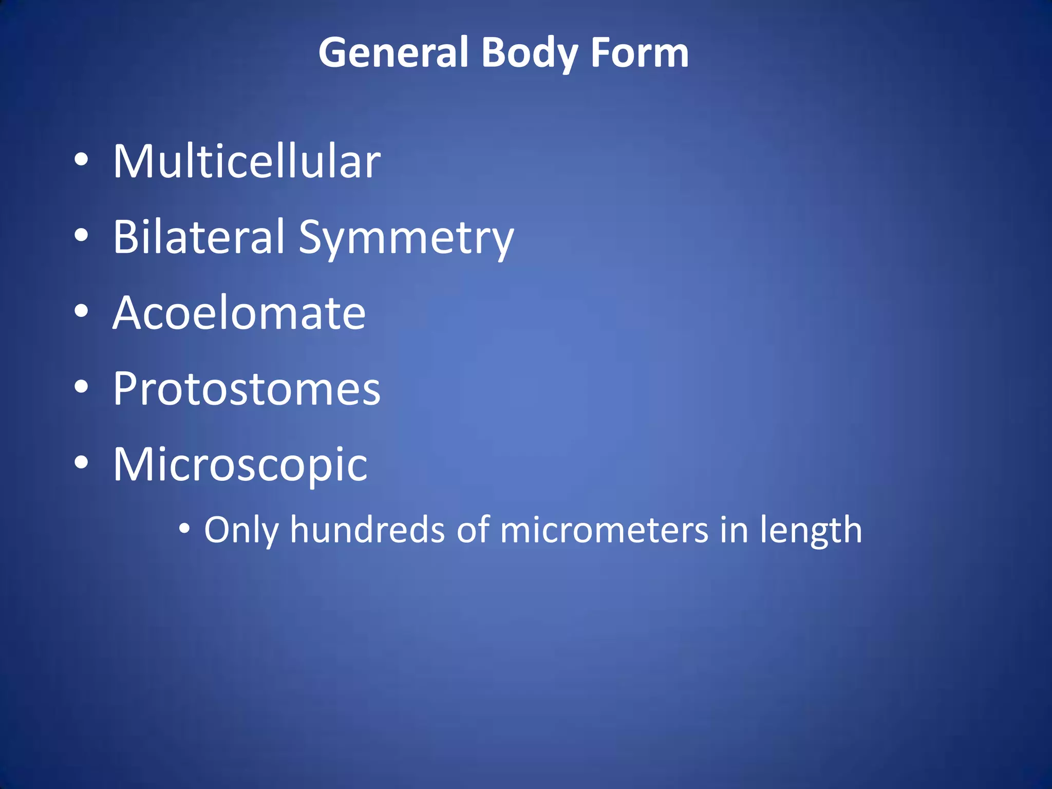Phylum Cycliophora | PPTX