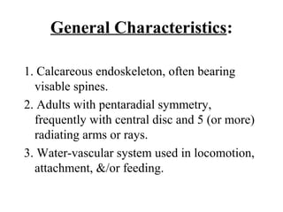 General Characteristics:
1. Calcareous endoskeleton, often bearing
visable spines.
2. Adults with pentaradial symmetry,
frequently with central disc and 5 (or more)
radiating arms or rays.
3. Water-vascular system used in locomotion,
attachment, &/or feeding.
 