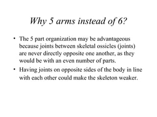 Why 5 arms instead of 6?
• The 5 part organization may be advantageous
because joints between skeletal ossicles (joints)
are never directly opposite one another, as they
would be with an even number of parts.
• Having joints on opposite sides of the body in line
with each other could make the skeleton weaker.
 
