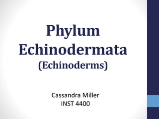 Phylum
Echinodermata
(Echinoderms)
Cassandra Miller
INST 4400
 