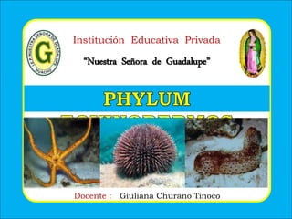 Institución Educativa Privada
“Nuestra Señora de Guadalupe”
Docente : Giuliana Churano Tinoco
 
