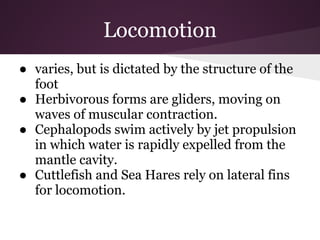 Locomotion
● varies, but is dictated by the structure of the
  foot
● Herbivorous forms are gliders, moving on
  waves of muscular contraction.
● Cephalopods swim actively by jet propulsion
  in which water is rapidly expelled from the
  mantle cavity.
● Cuttlefish and Sea Hares rely on lateral fins
  for locomotion.
 