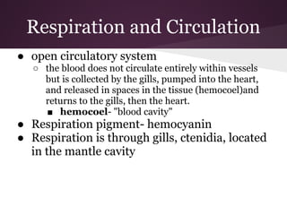 Respiration and Circulation
● open circulatory system
   ○ the blood does not circulate entirely within vessels
     but is collected by the gills, pumped into the heart,
     and released in spaces in the tissue (hemocoel)and
     returns to the gills, then the heart.
     ■ hemocoel- "blood cavity"
● Respiration pigment- hemocyanin
● Respiration is through gills, ctenidia, located
  in the mantle cavity
 