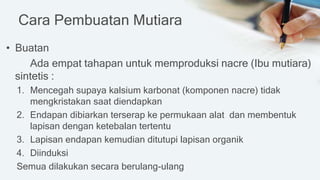 Cara Pembuatan Mutiara
• Buatan
Ada empat tahapan untuk memproduksi nacre (Ibu mutiara)
sintetis :
1. Mencegah supaya kalsium karbonat (komponen nacre) tidak
mengkristakan saat diendapkan
2. Endapan dibiarkan terserap ke permukaan alat dan membentuk
lapisan dengan ketebalan tertentu
3. Lapisan endapan kemudian ditutupi lapisan organik
4. Diinduksi
Semua dilakukan secara berulang-ulang
 