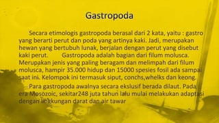 Secara etimologis gastropoda berasal dari 2 kata, yaitu : gastro
yang berarti perut dan poda yang artinya kaki. Jadi, merupakan
hewan yang bertubuh lunak, berjalan dengan perut yang disebut
kaki perut. Gastropoda adalah bagian dari filum molusca.
Merupakan jenis yang paling beragam dan melimpah dari filum
molusca, hampir 35.000 hidup dan 15000 spesies fosil ada sampai
saat ini. Kelompok ini termasuk siput, conchs,whelks dan keong.
Para gastropoda awalnya secara ekslusif berada dilaut. Pada
era Mosozoic, sekitar248 juta tahun lalu mulai melakukan adaptasi
dengan lingkungan darat dan air tawar
 