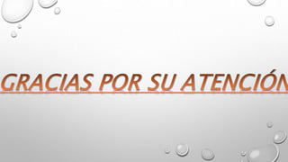 Phylum Mollusca por Karina Calis