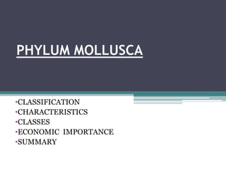 PHYLUM MOLLUSCA
•CLASSIFICATION
•CHARACTERISTICS
•CLASSES
•ECONOMIC IMPORTANCE
•SUMMARY
 