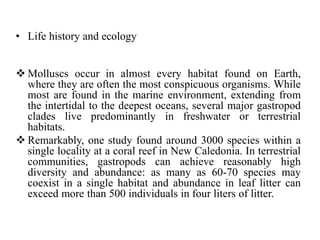• Life history and ecology
 Molluscs occur in almost every habitat found on Earth,
where they are often the most conspicuous organisms. While
most are found in the marine environment, extending from
the intertidal to the deepest oceans, several major gastropod
clades live predominantly in freshwater or terrestrial
habitats.
 Remarkably, one study found around 3000 species within a
single locality at a coral reef in New Caledonia. In terrestrial
communities, gastropods can achieve reasonably high
diversity and abundance: as many as 60-70 species may
coexist in a single habitat and abundance in leaf litter can
exceed more than 500 individuals in four liters of litter.
 