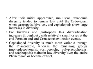 • After their initial appearance, molluscan taxonomic
diversity tended to remain low until the Ordovician,
when gastropods, bivalves, and cephalopods show large
increases in diversity.
• For bivalves and gastropods this diversification
increases throughout , with relatively small losses at the
end-Permian and end-Cretaceous extinction events.
• Cephalopod diversity is much more variable through
the Phanerozoic, whereas the remaining groups
(monoplacophorans, rostroconchs, polyplacophorans,
and scaphopods) maintain low diversity over the entire
Phanerozoic or became extinct.
 