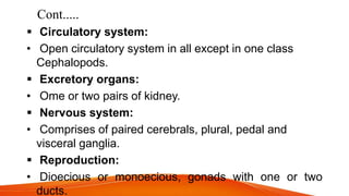 Cont.....
 Circulatory system:
• Open circulatory system in all except in one class
Cephalopods.
 Excretory organs:
• Ome or two pairs of kidney.
 Nervous system:
• Comprises of paired cerebrals, plural, pedal and
visceral ganglia.
 Reproduction:
• Dioecious or monoecious, gonads with one or two
ducts.
 