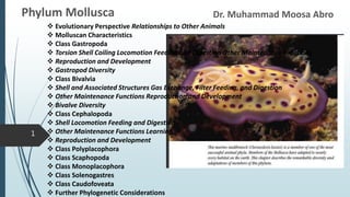 Dr. Muhammad Moosa Abro
Phylum Mollusca
1
 Evolutionary Perspective Relationships to Other Animals
 Molluscan Characteristics
 Class Gastropoda
 Torsion Shell Coiling Locomotion Feeding and Digestion Other Maintenance Functions
 Reproduction and Development
 Gastropod Diversity
 Class Bivalvia
 Shell and Associated Structures Gas Exchange, Filter Feeding, and Digestion
 Other Maintenance Functions Reproduction and Development
 Bivalve Diversity
 Class Cephalopoda
 Shell Locomotion Feeding and Digestion
 Other Maintenance Functions Learning
 Reproduction and Development
 Class Polyplacophora
 Class Scaphopoda
 Class Monoplacophora
 Class Solenogastres
 Class Caudofoveata
 Further Phylogenetic Considerations
 