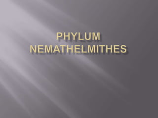 Nemeth Examples Phylum nemathelmithes | PPTX