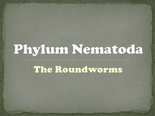 The Roundworms
 