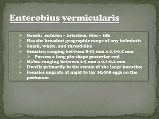    Greek: enteron = intestine, bios = life
   Has the broadest geographic range of any helminth
   Small, white, and thread-like
   Females: ranging between 8-13 mm x 0.3-0.5 mm
     Possess a long pin-shape posterior end
   Males: ranging between 2-5 mm x 0.1-0.2 mm
   Dwells primarily in the cecum of the large intestine
   Females migrate at night to lay 15,000 eggs on the
    perineum
 