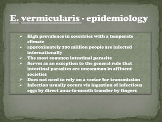    High prevalence in countries with a temperate
    climate
   approximately 200 million people are infected
    internationally
   The most common intestinal parasite
   Serves as an exception to the general rule that
    intestinal parasites are uncommon in affluent
    societies
   Does not need to rely on a vector for transmission
   Infection usually occurs via ingestion of infectious
    eggs by direct anus-to-mouth transfer by fingers
 