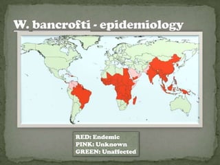 RED: Endemic
PINK: Unknown
GREEN: Unaffected
 