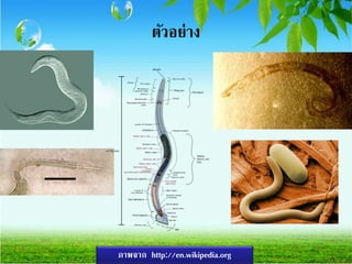 ตัวอย่าง
ภาพจาก http://en.wikipedia.org
 