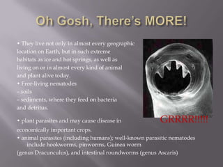 • They live not only in almost every geographic
location on Earth, but in such extreme
habitats as ice and hot springs, as well as
living on or in almost every kind of animal
and plant alive today.
• Free-living nematodes
– soils
– sediments, where they feed on bacteria
and detritus.

• plant parasites and may cause disease in             GRRRR!!!!!
economically important crops.
• animal parasites (including humans); well-known parasitic nematodes
    include hookworms, pinworms, Guinea worm
(genus Dracunculus), and intestinal roundworms (genus Ascaris)
 